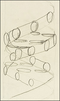 Double-Helix Sketch image